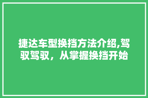 捷达车型换挡方法介绍,驾驭驾驭，从掌握换挡开始