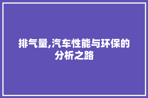 排气量,汽车性能与环保的分析之路