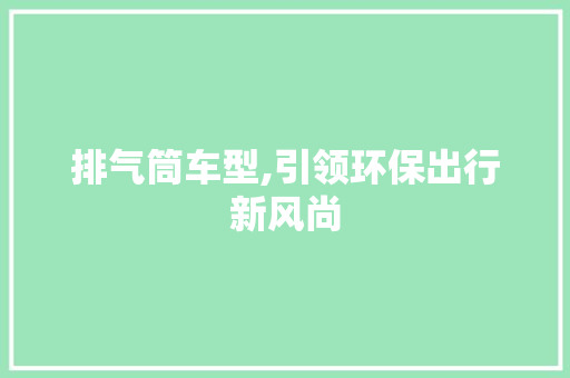排气筒车型,引领环保出行新风尚