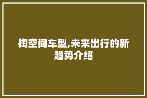掏空间车型,未来出行的新趋势介绍