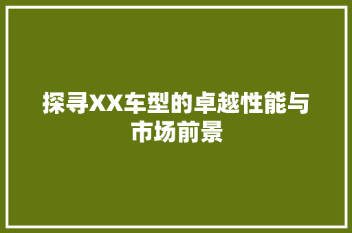 探寻XX车型的卓越性能与市场前景