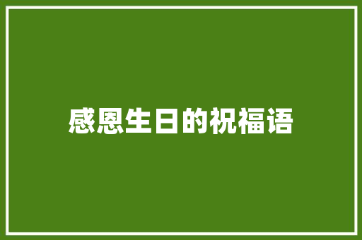 探寻“车型号”背后的奥秘,解码汽车发展的轨迹