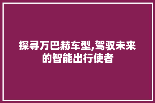 探寻万巴赫车型,驾驭未来的智能出行使者