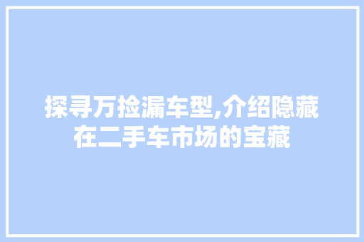 探寻万捡漏车型,介绍隐藏在二手车市场的宝藏