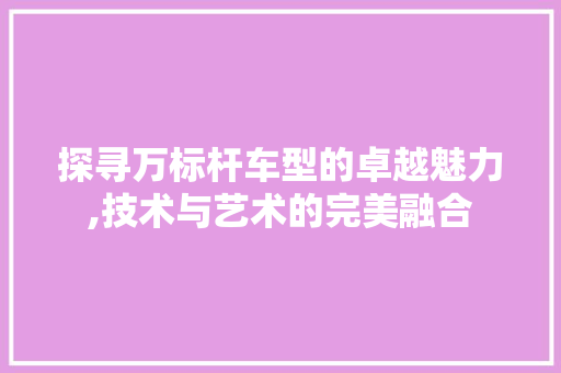 探寻万标杆车型的卓越魅力,技术与艺术的完美融合