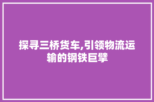 探寻三桥货车,引领物流运输的钢铁巨擘