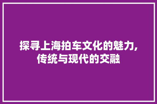 探寻上海拍车文化的魅力,传统与现代的交融
