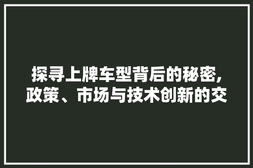 探寻上牌车型背后的秘密,政策、市场与技术创新的交织