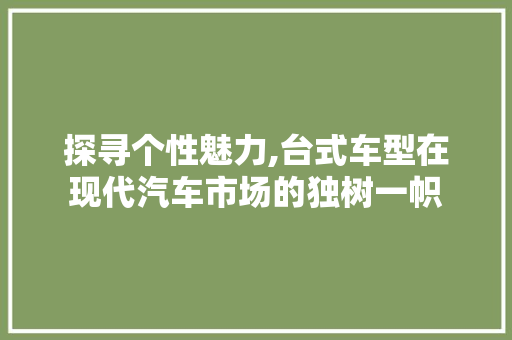 探寻个性魅力,台式车型在现代汽车市场的独树一帜