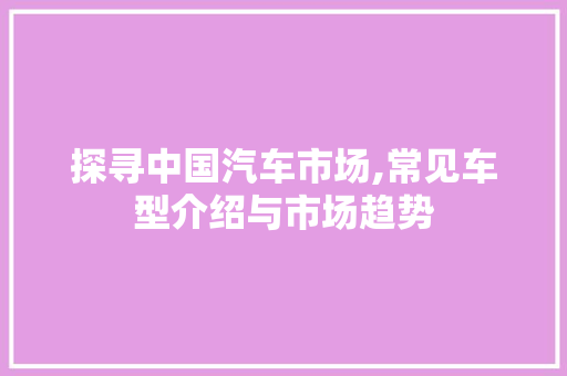 探寻中国汽车市场,常见车型介绍与市场趋势