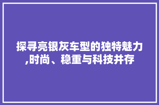 探寻亮银灰车型的独特魅力,时尚、稳重与科技并存