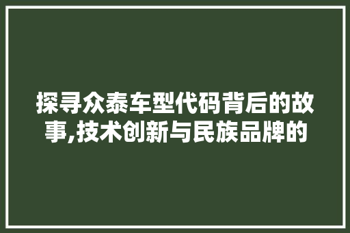 探寻众泰车型代码背后的故事,技术创新与民族品牌的崛起