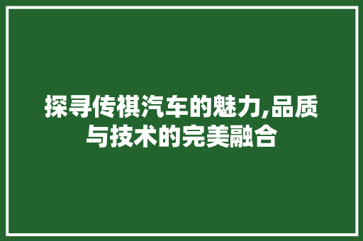 探寻传祺汽车的魅力,品质与技术的完美融合