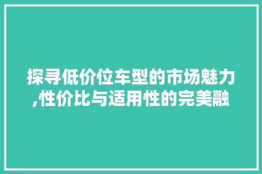探寻低价位车型的市场魅力,性价比与适用性的完美融合