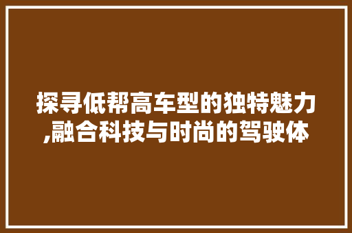 探寻低帮高车型的独特魅力,融合科技与时尚的驾驶体验
