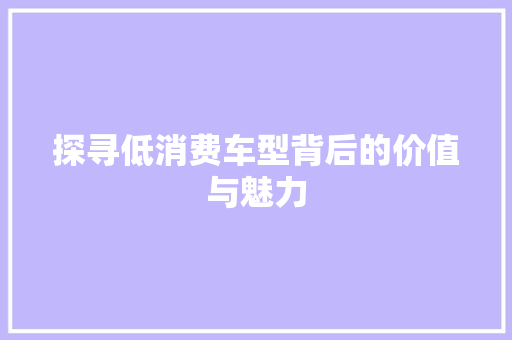 探寻低消费车型背后的价值与魅力