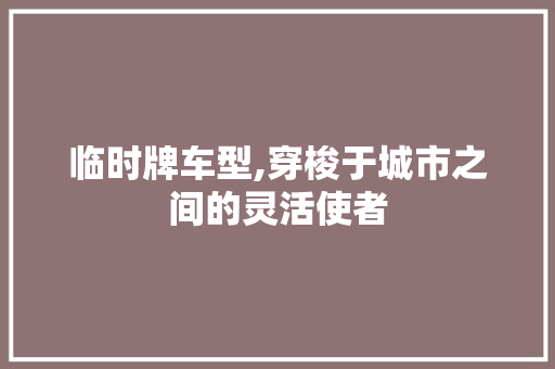 临时牌车型,穿梭于城市之间的灵活使者