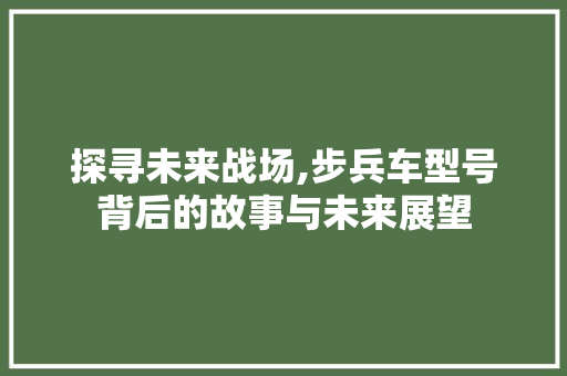 探寻未来战场,步兵车型号背后的故事与未来展望