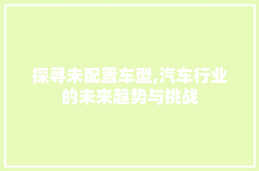 探寻未配置车型,汽车行业的未来趋势与挑战