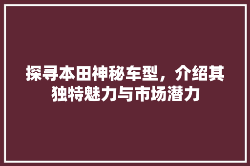 探寻本田神秘车型，介绍其独特魅力与市场潜力