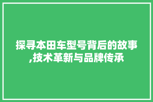 探寻本田车型号背后的故事,技术革新与品牌传承