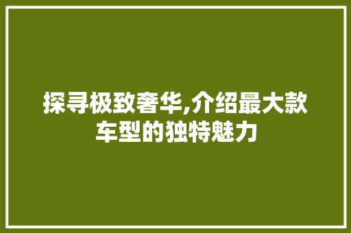 探寻极致奢华,介绍最大款车型的独特魅力