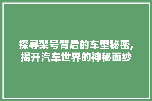 探寻架号背后的车型秘密,揭开汽车世界的神秘面纱