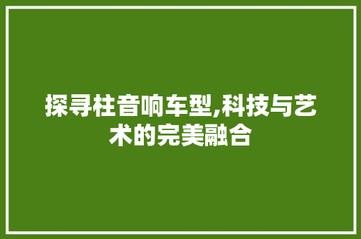 探寻柱音响车型,科技与艺术的完美融合