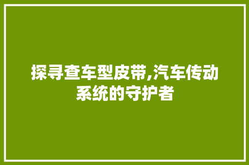 探寻查车型皮带,汽车传动系统的守护者