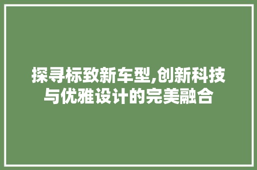 探寻标致新车型,创新科技与优雅设计的完美融合