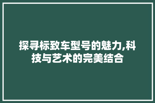 探寻标致车型号的魅力,科技与艺术的完美结合