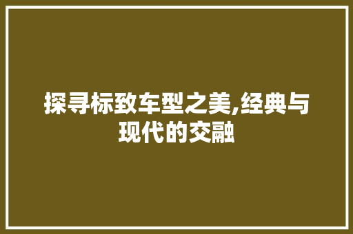 探寻标致车型之美,经典与现代的交融