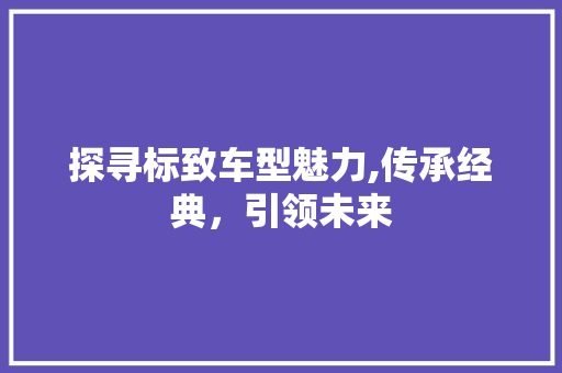探寻标致车型魅力,传承经典，引领未来