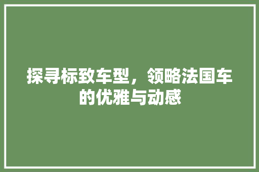探寻标致车型，领略法国车的优雅与动感