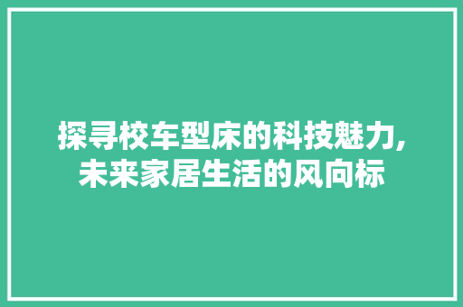 探寻校车型床的科技魅力,未来家居生活的风向标