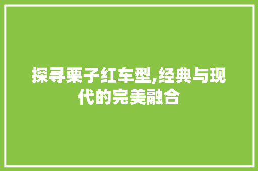 探寻栗子红车型,经典与现代的完美融合