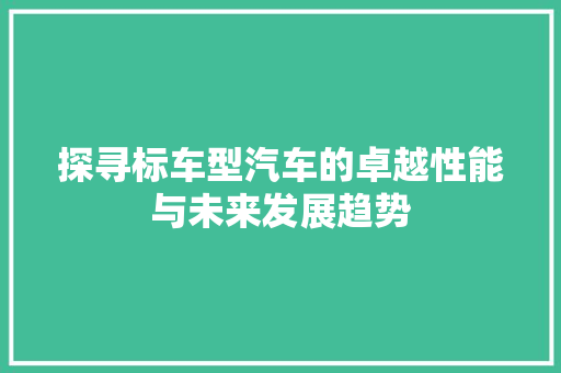 探寻标车型汽车的卓越性能与未来发展趋势
