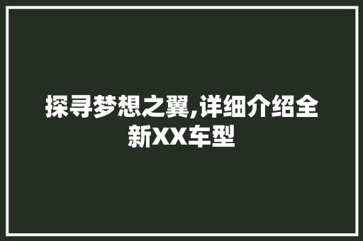 探寻梦想之翼,详细介绍全新XX车型