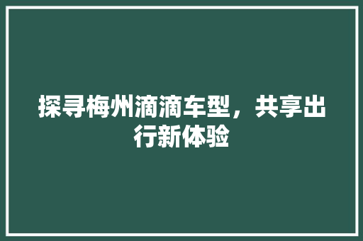 探寻梅州滴滴车型，共享出行新体验