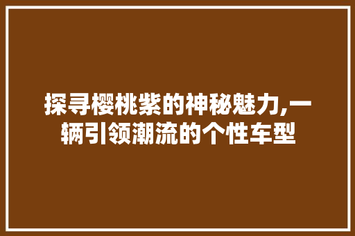 探寻樱桃紫的神秘魅力,一辆引领潮流的个性车型