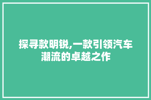 探寻款明锐,一款引领汽车潮流的卓越之作