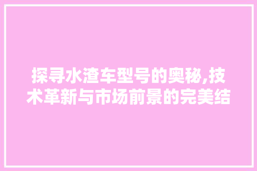 探寻水渣车型号的奥秘,技术革新与市场前景的完美结合