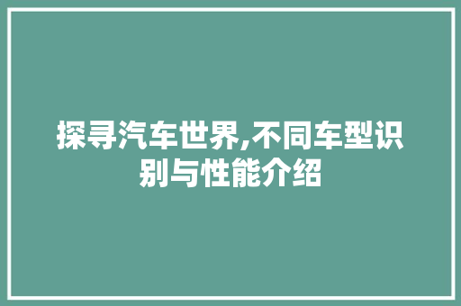 探寻汽车世界,不同车型识别与性能介绍
