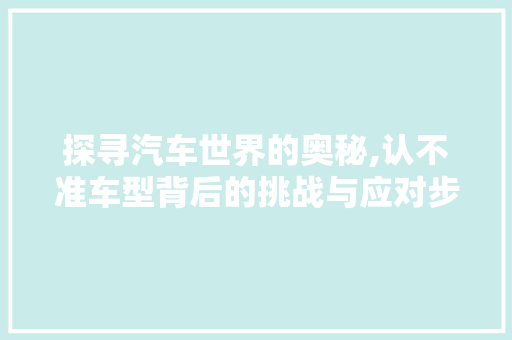 探寻汽车世界的奥秘,认不准车型背后的挑战与应对步骤