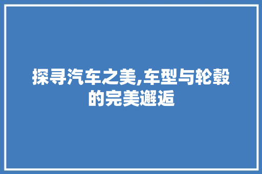 探寻汽车之美,车型与轮毂的完美邂逅