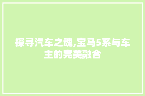 探寻汽车之魂,宝马5系与车主的完美融合