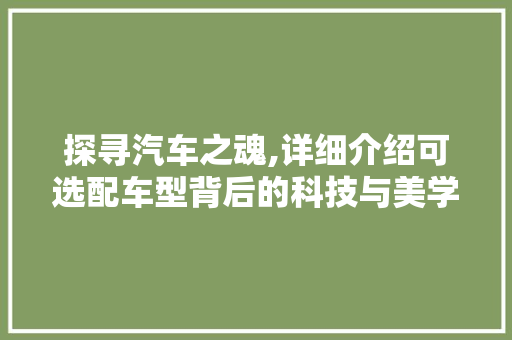 探寻汽车之魂,详细介绍可选配车型背后的科技与美学