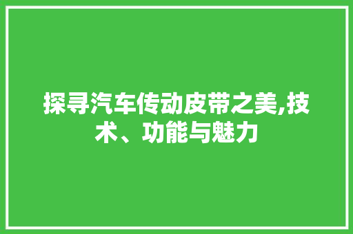 探寻汽车传动皮带之美,技术、功能与魅力