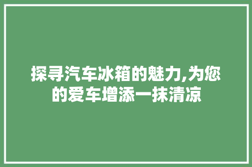 探寻汽车冰箱的魅力,为您的爱车增添一抹清凉