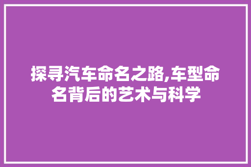探寻汽车命名之路,车型命名背后的艺术与科学